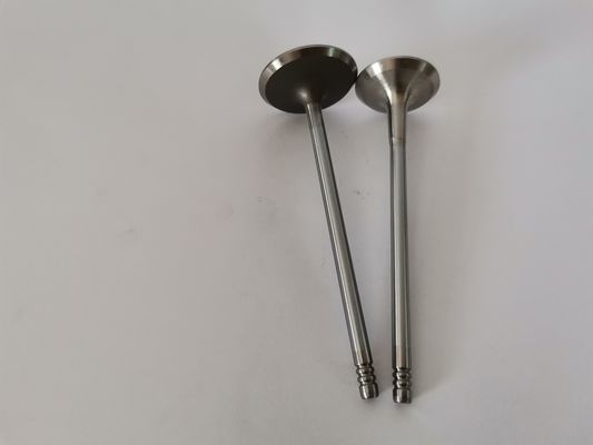 FIAT FIRE 1.4L 8V EVO car diesel Exhaust Valve 4257EC Engine Spare Parts