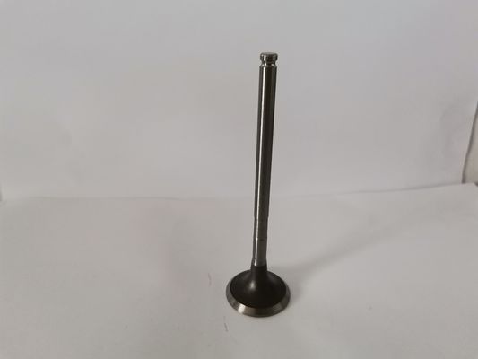 54294014 Auto Exhaust Valve For Peugeot 206 307 Picasso 2.0 16v Ew10