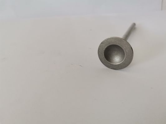 Peugeot 206 1.6 16V TU5JP4 Diesel Engine Valve Car Exhaust Valve 54292014