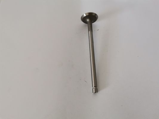 Peugeot 206 1.6 16V TU5JP4 Diesel Engine Valve Car Exhaust Valve 54292014