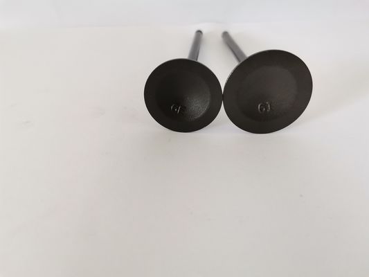 Mitsubish Airtrek 2.4 16v Diesel Engine Valve 4160A with Steel Material