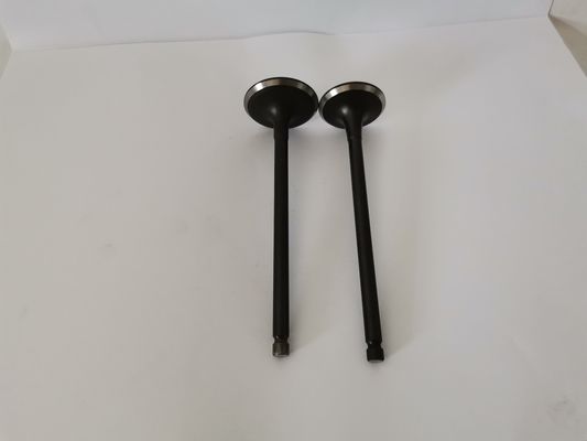 Mitsubish Airtrek 2.4 16v Diesel Engine Valve 4160A with Steel Material
