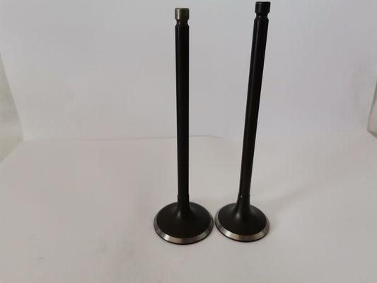 Mitsubish Airtrek 2.4 16v Diesel Engine Valve 4160A with Steel Material