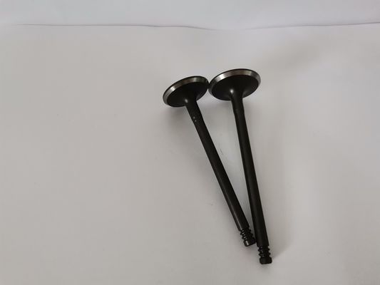 Steel Car Engine Intake Valve for Gm Astra / Vectra / Zafira 2.0l / 2.2l / 3140-AC