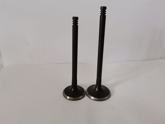 Steel Car Engine Intake Valve for Gm Astra / Vectra / Zafira 2.0l / 2.2l / 3140-AC