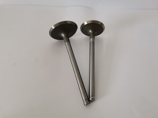 GM VECTRA Automotive Engine Inlet Valves , Car Diesel Engine Parts
