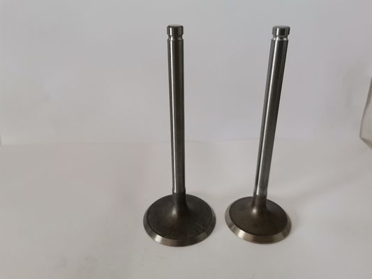 GM VECTRA Automotive Engine Inlet Valves , Car Diesel Engine Parts