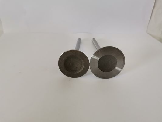 GM VECTRA Automotive Engine Inlet Valves , Car Diesel Engine Parts