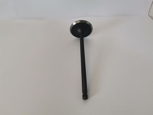 Automotive Engine Intake Valves For Ford Ecosport / Mondeo 2.0l 16v 3094ac