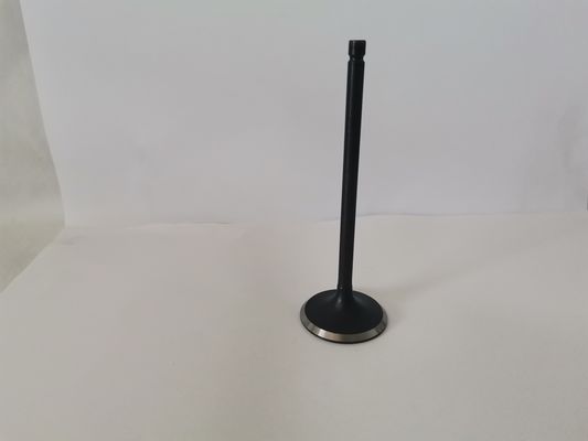 Automotive Engine Intake Valves For Ford Ecosport / Mondeo 2.0l 16v 3094ac