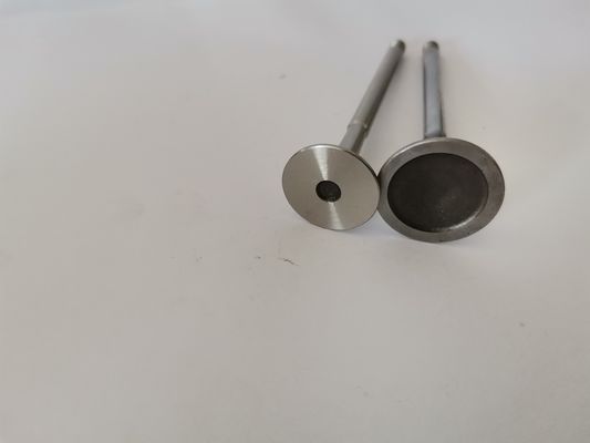 3998AC Diesel Engine Valve For FIAT
