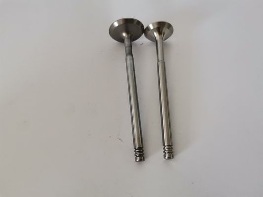 3998AC Diesel Engine Valve For FIAT