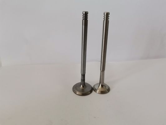 3998AC Diesel Engine Valve For FIAT