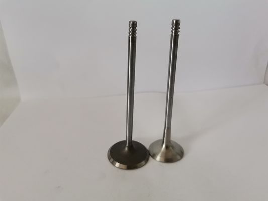 FIAT FIRE 1.4L 8V EVO car diesel Exhaust Valve 4257EC Engine Spare Parts