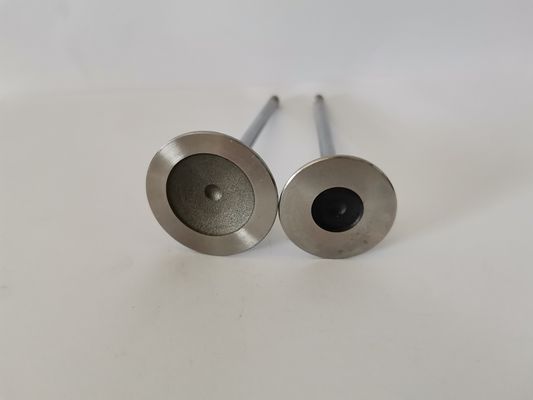FIAT FIRE 1.4L 8V EVO car diesel Exhaust Valve 4257EC Engine Spare Parts