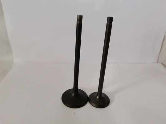 4210AX Car Engine Admission Valves For CITROEN C3 / PEUGEOT 208 1.5 8V