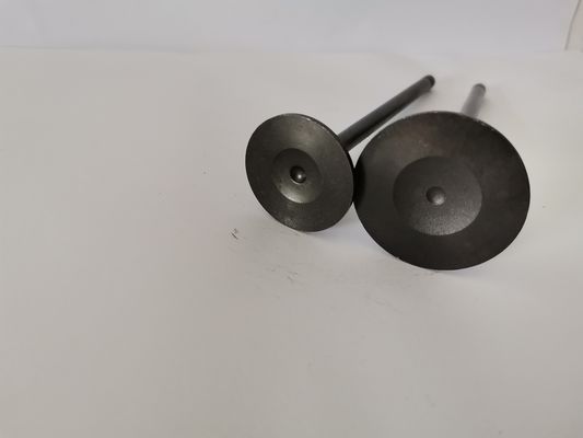 4210AX Car Engine Admission Valves For CITROEN C3 / PEUGEOT 208 1.5 8V