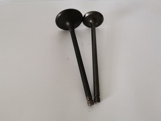 4210AX Car Engine Admission Valves For CITROEN C3 / PEUGEOT 208 1.5 8V