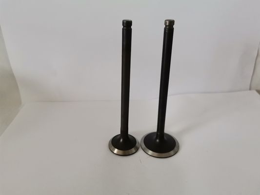 Durable 3242A Diesel Engine Valve for PEUGEOT / CITROEN 1.1L / 1.4L / 1.6L 8V GAS