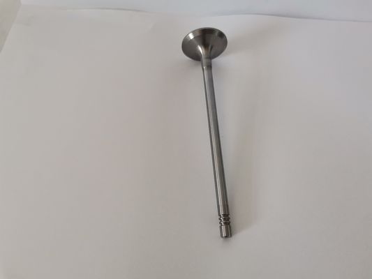 MASTER 2.5 Diesel Engine Valve Nissan / Infiniti / Renault 7701472669 G9U