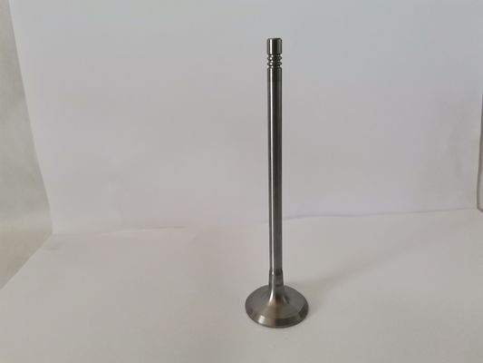 MASTER 2.5 Diesel Engine Valve Nissan / Infiniti / Renault 7701472669 G9U