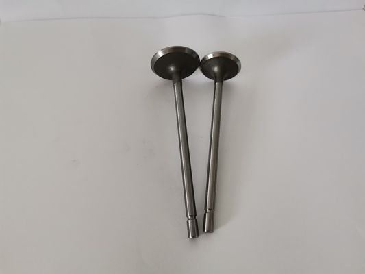 RENAULT / NISSAN Auto Diesel Engine Valve 3598A 4CR9 Material 1 Years Warranty