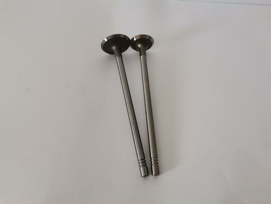 3862A Engine Administration Valves For RENAULT CLIO 1.0L 16V