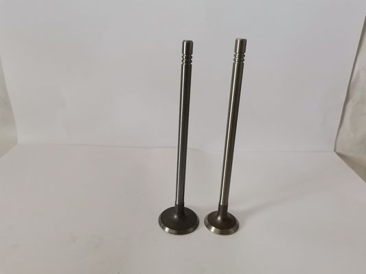 3862A Engine Administration Valves For RENAULT CLIO 1.0L 16V