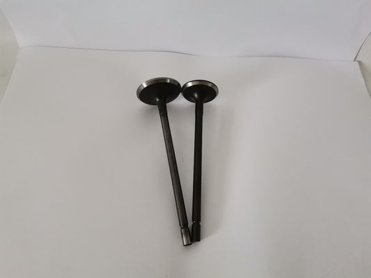 3864A Administration Valves , RENAULT SCENIC 2.0L 16V Car Engine Valve