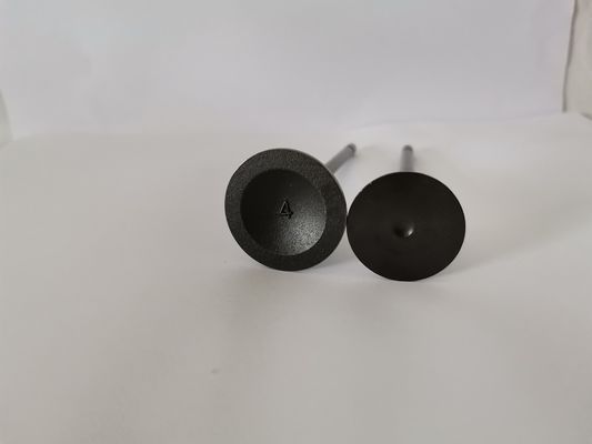 3864A Administration Valves , RENAULT SCENIC 2.0L 16V Car Engine Valve
