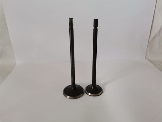 3864A Administration Valves , RENAULT SCENIC 2.0L 16V Car Engine Valve