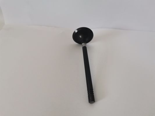 54372010 Diesel Engine Intake Valves Vw Gol EA111 1.0 8 V Rsh engine parts
