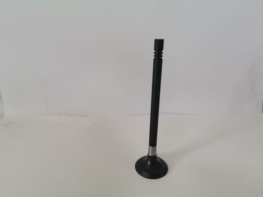 54373010 Diesel Engine Exhaust Valves , Vw Gol EA111 1.0 8 V Rsh Spare Parts