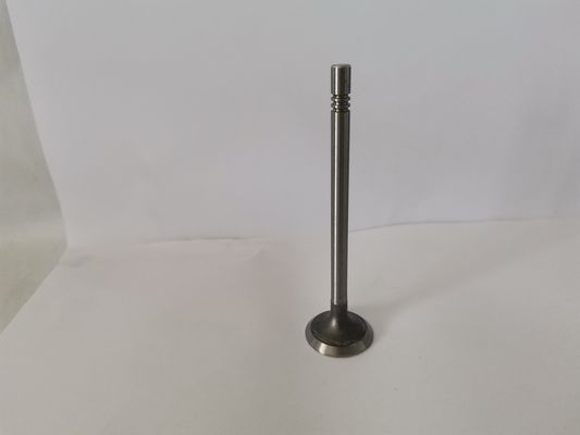 VOLKSWAGEN AMAROK Diesel Engine Spare Parts Exhaust Valves V74105
