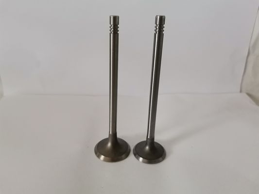 3488-AS - VALVULAS DE ADMISSAO - AUDI A4 1.8L 20V/V6 30V