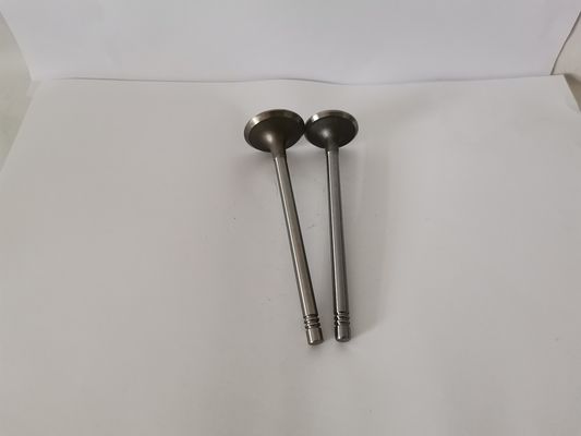3489-EC Exhaust Valve Audi / passat / golf 1.8 20v Turbo Agu 97 / Und
