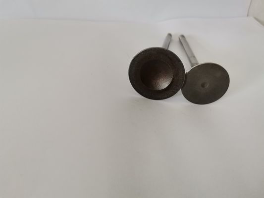 4408AX Diesel Engine Valve For AUDI / VW