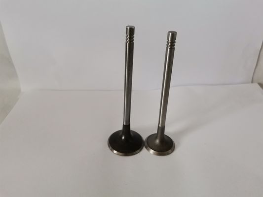 4408AX Diesel Engine Valve For AUDI / VW