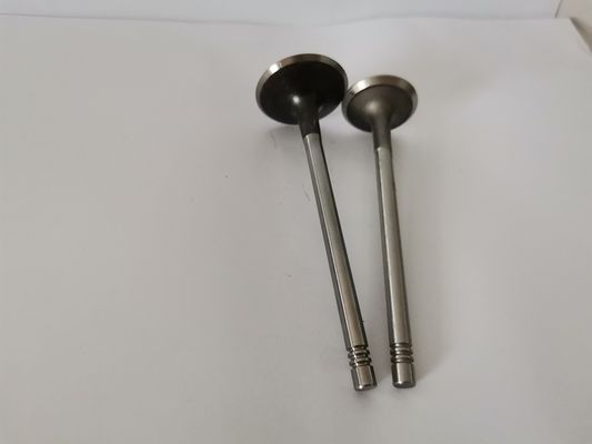 4408AX Diesel Engine Valve For AUDI / VW